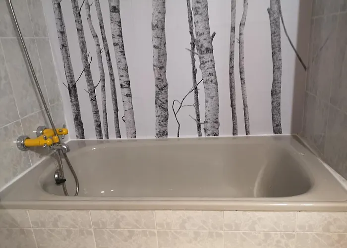 Calle Alfonso I * Saragossa